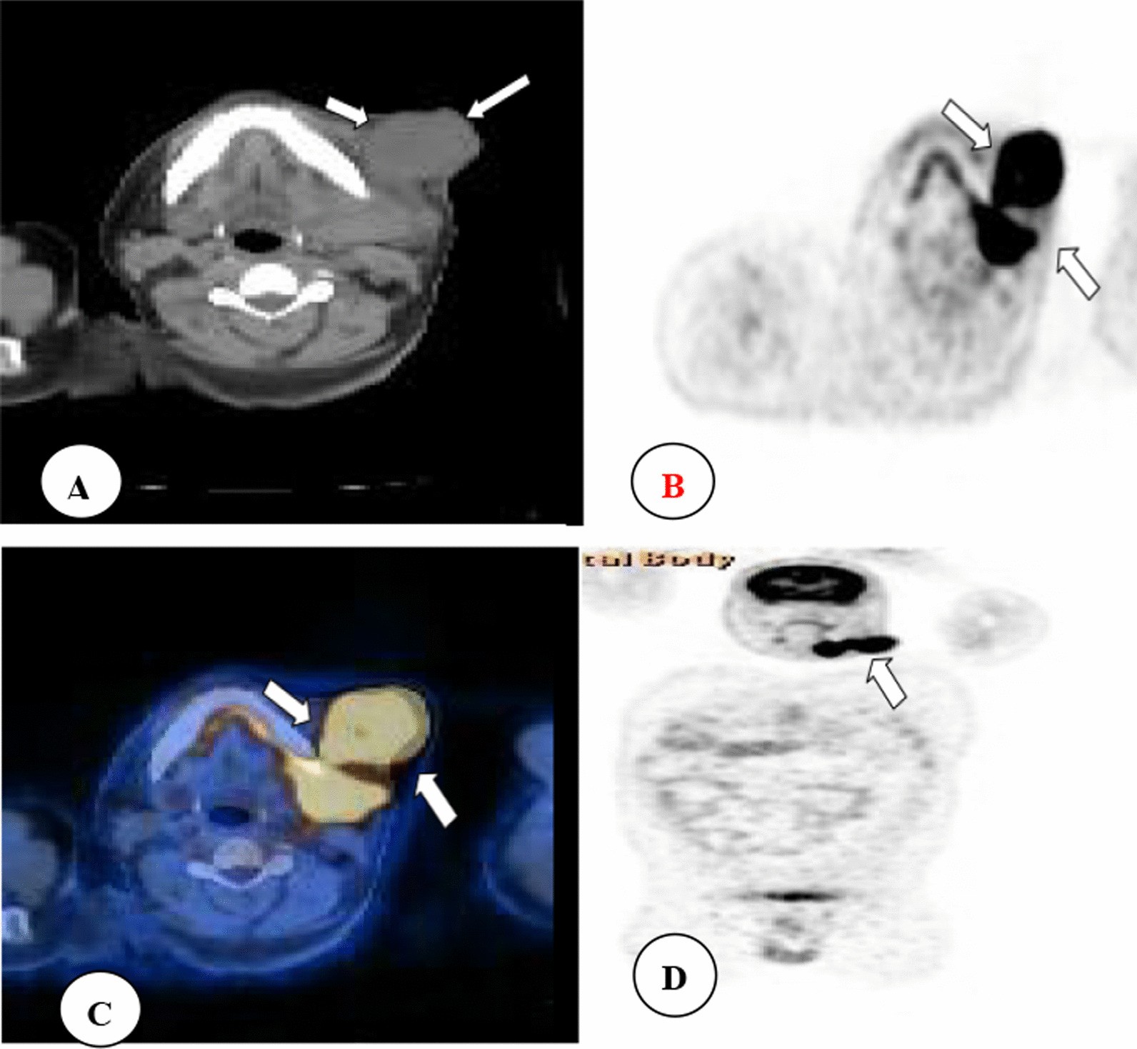 Fig. 6