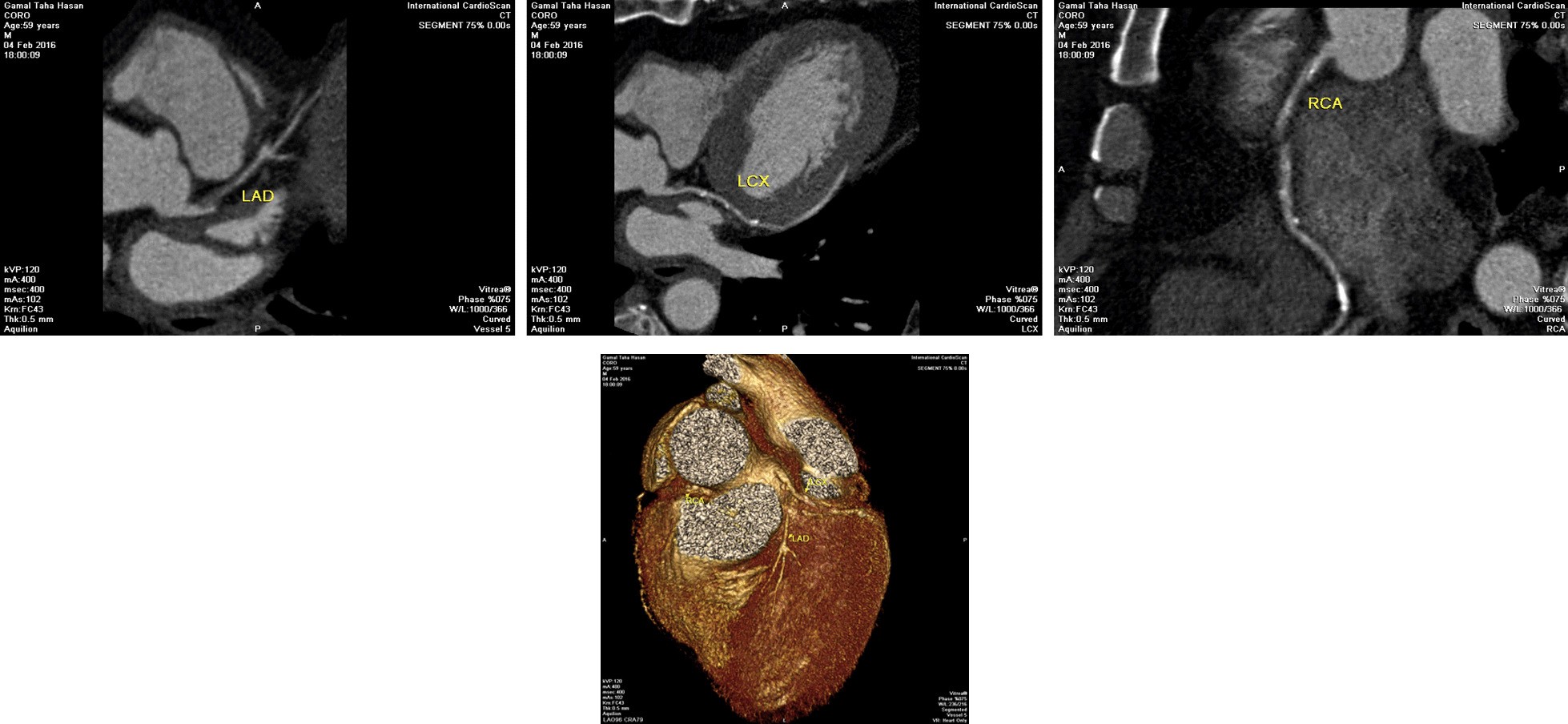 Fig. 4