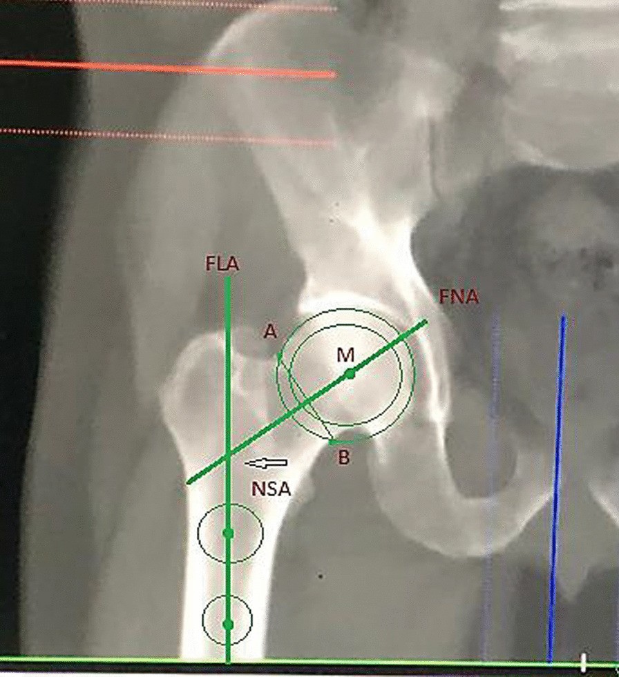 Fig. 5