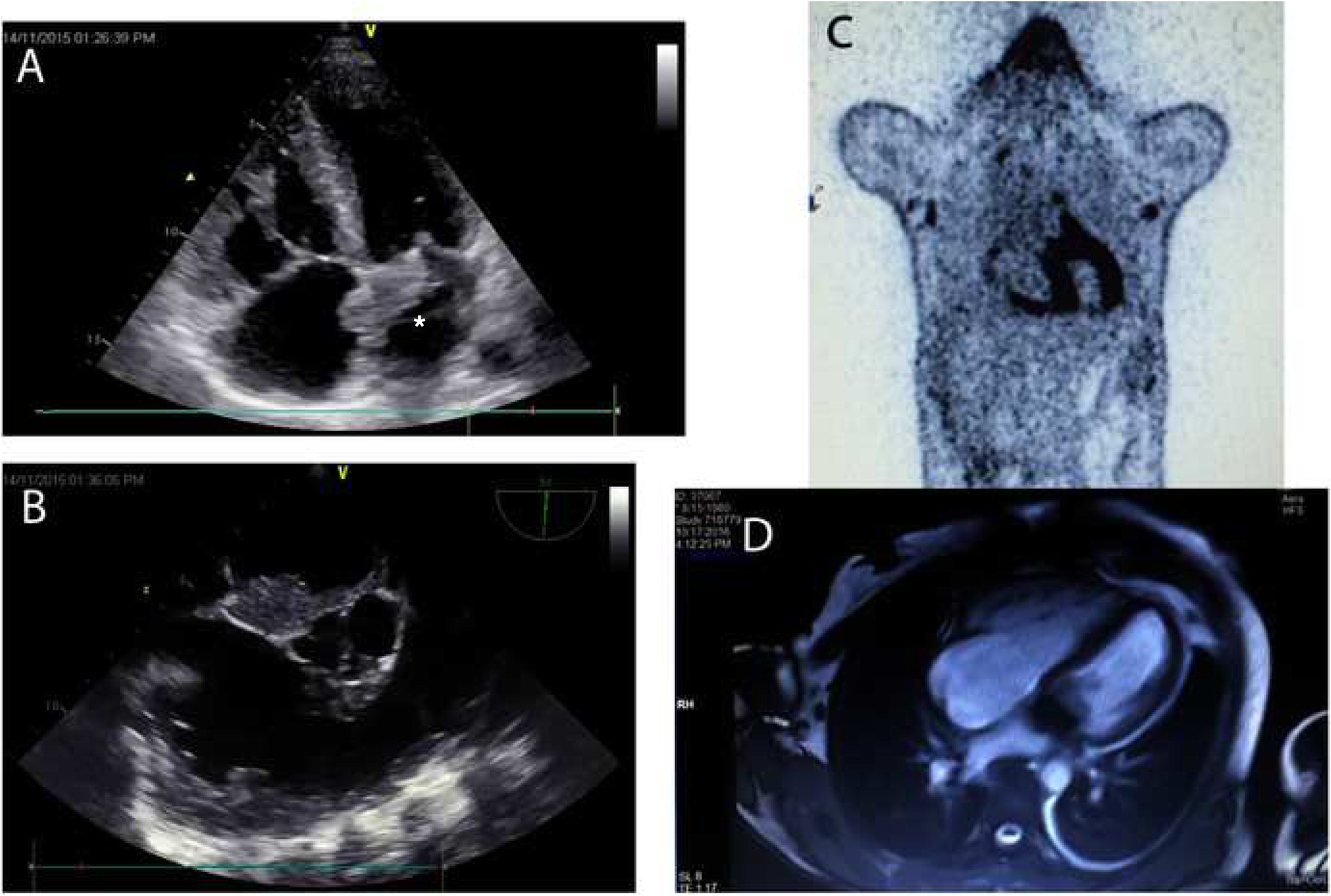 Fig. 1