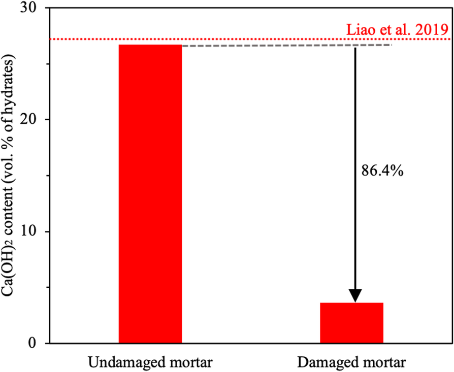 Fig. 10