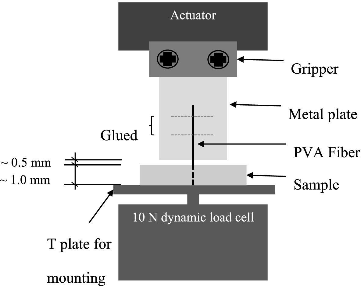 Fig. 2