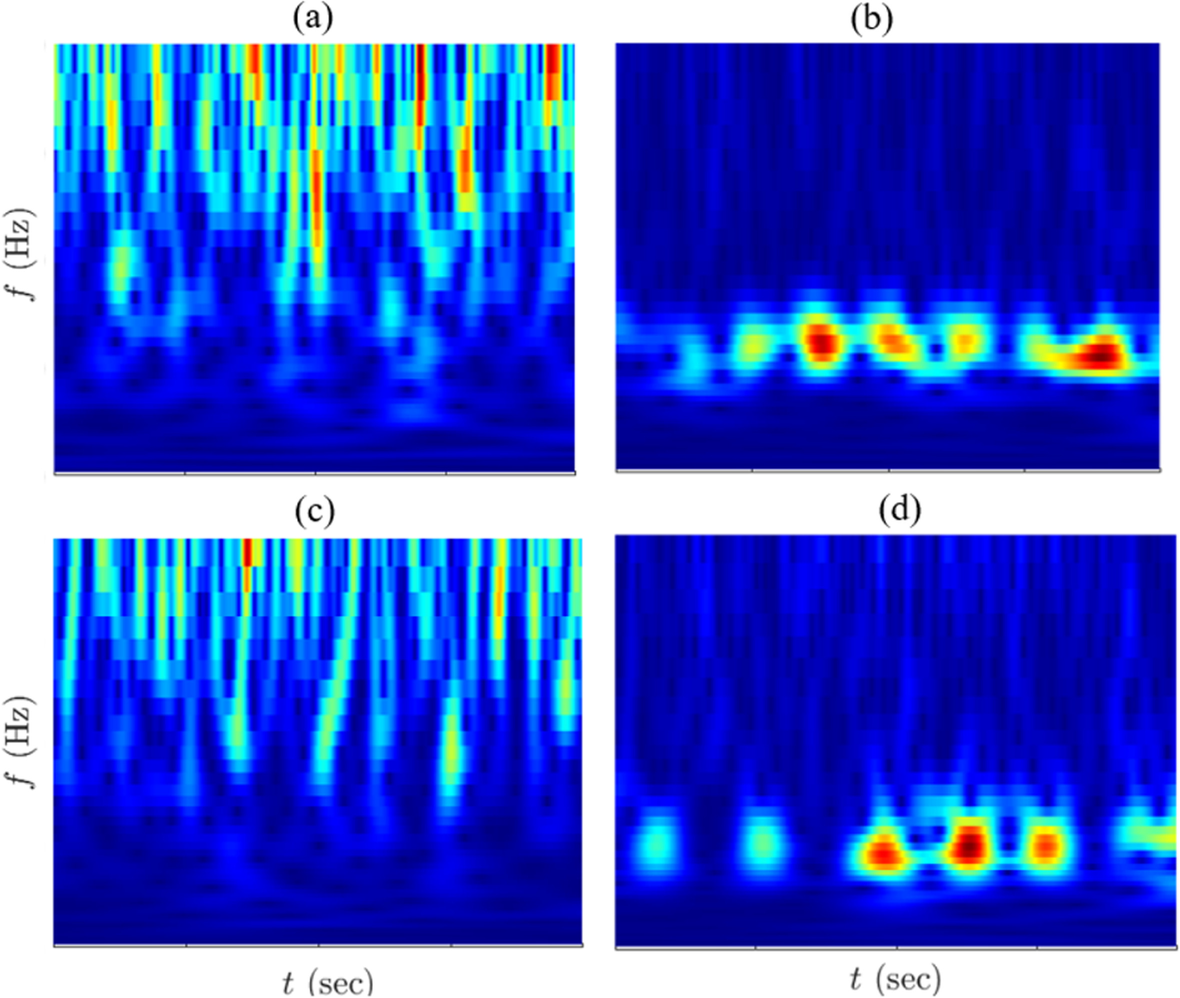 Fig. 19