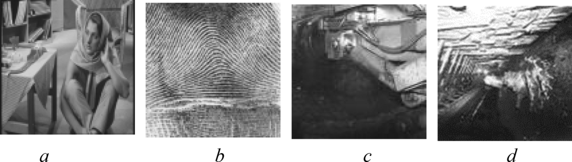 Fig. 7