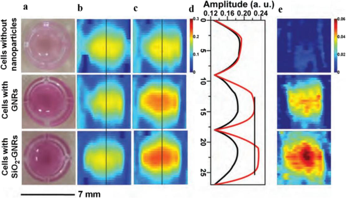 Fig. 8