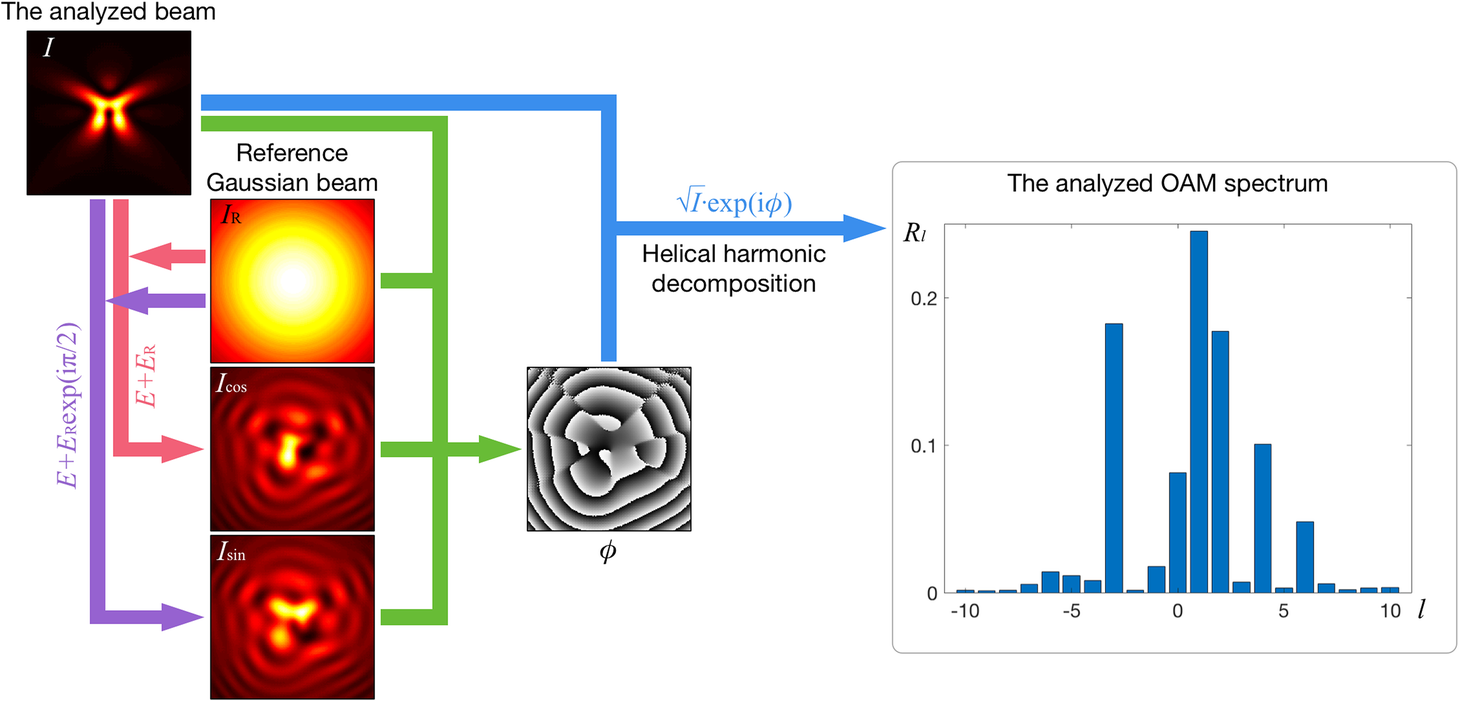 Fig. 1