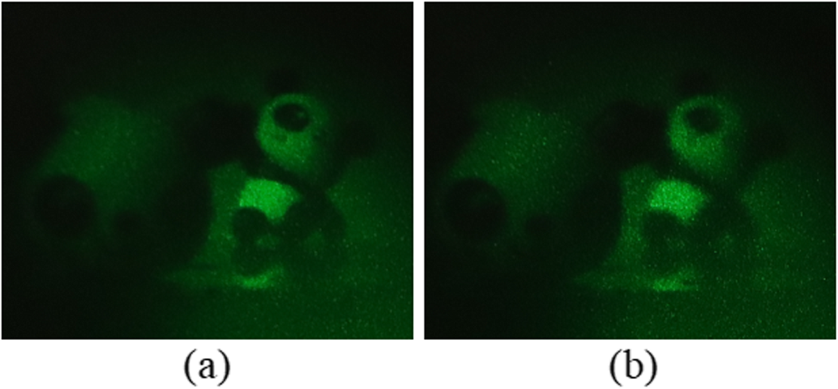 Fig. 15