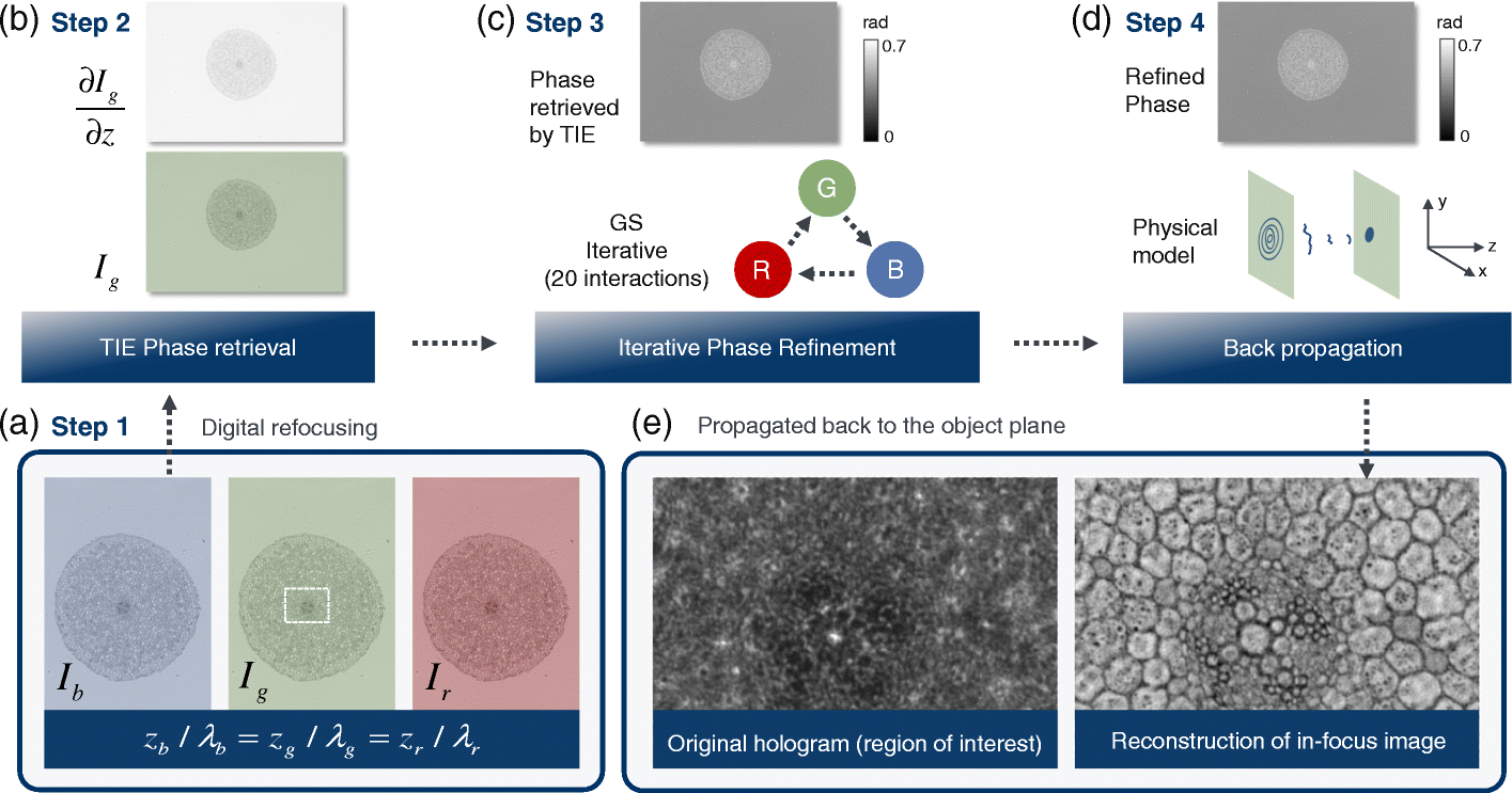 Fig. 27