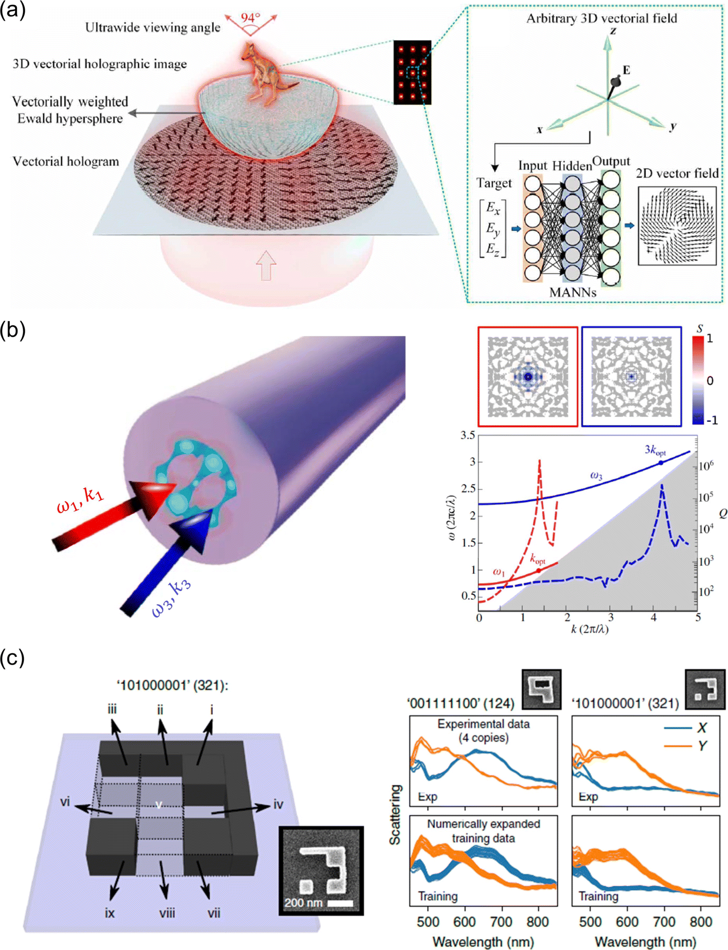 Fig. 12