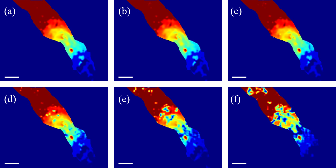 Fig. 14