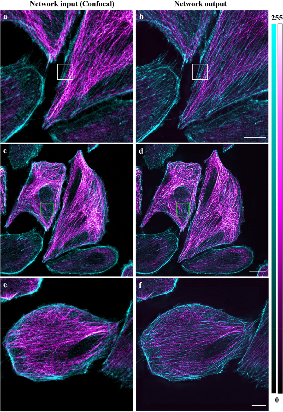 Fig. 10