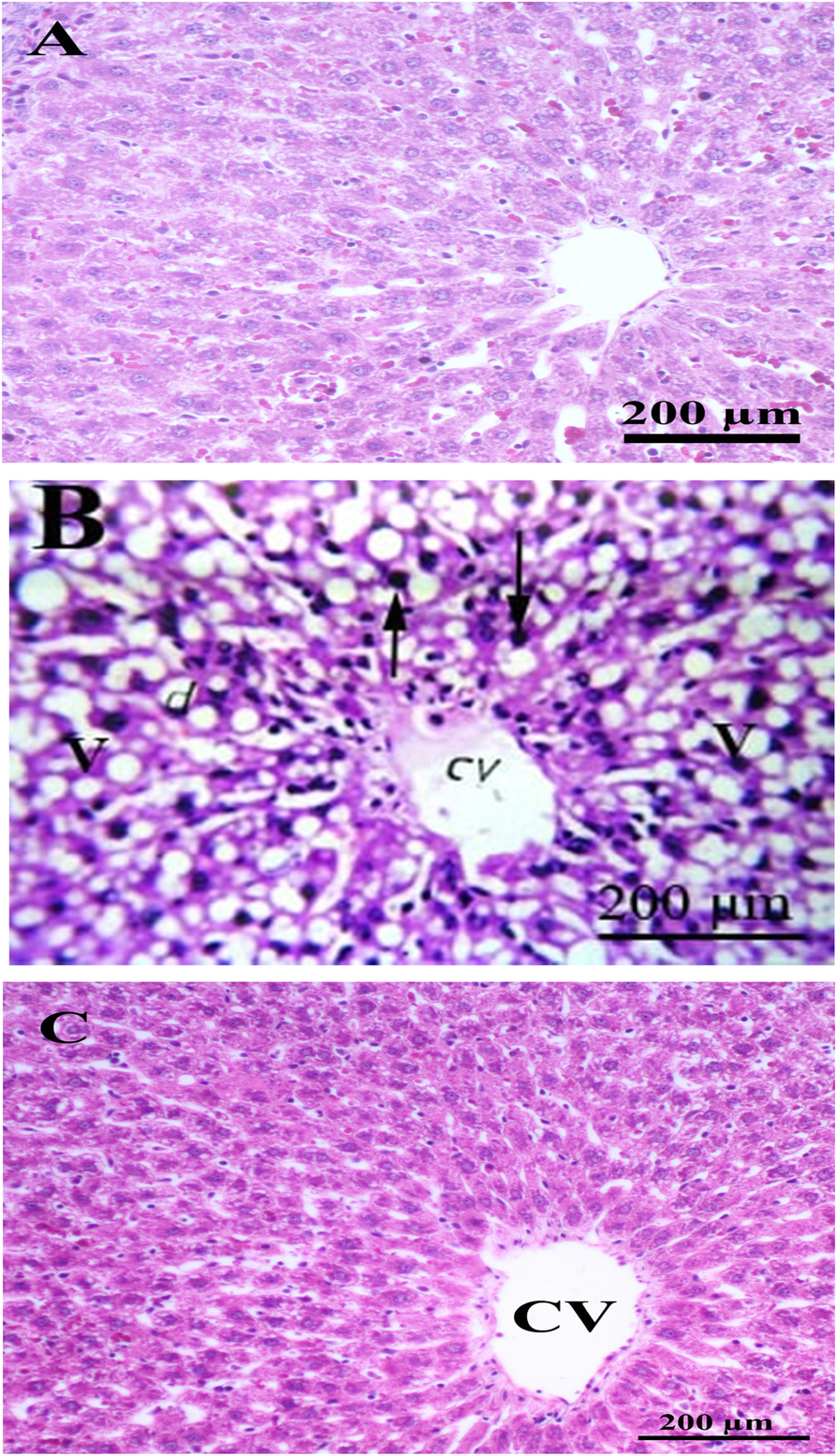 Fig. 11