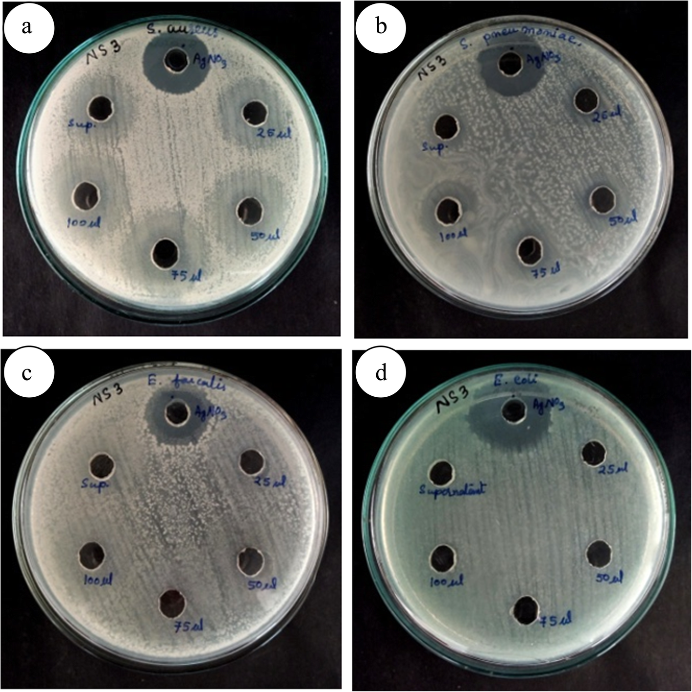 Fig. 11