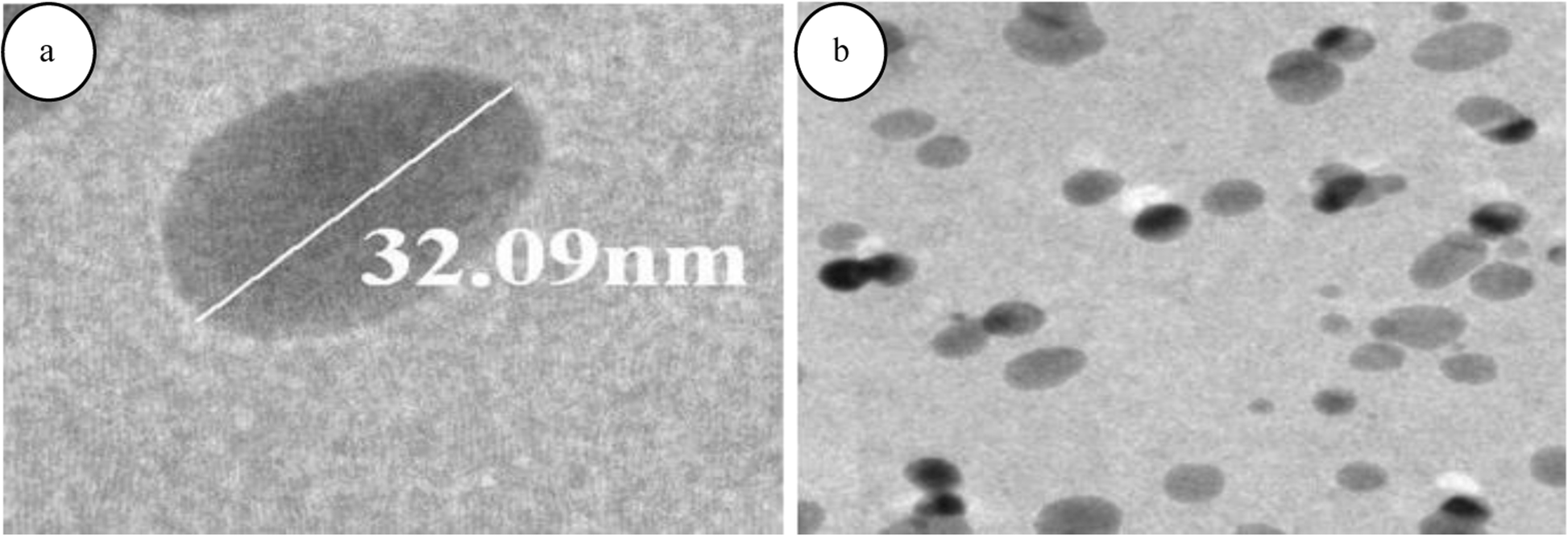 Fig. 8