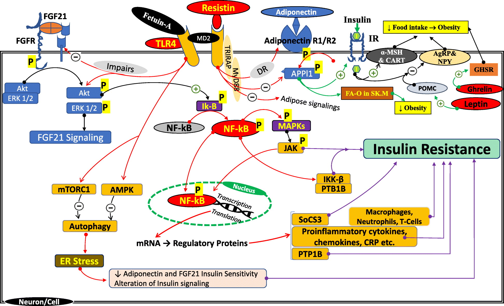 Fig. 4