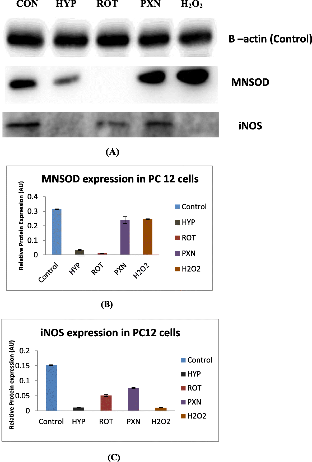 Fig. 5