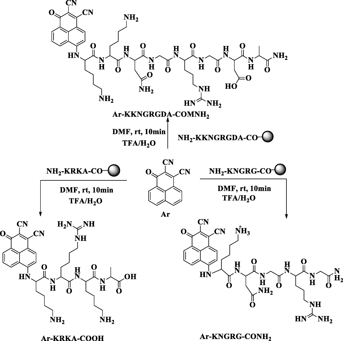 Scheme 16