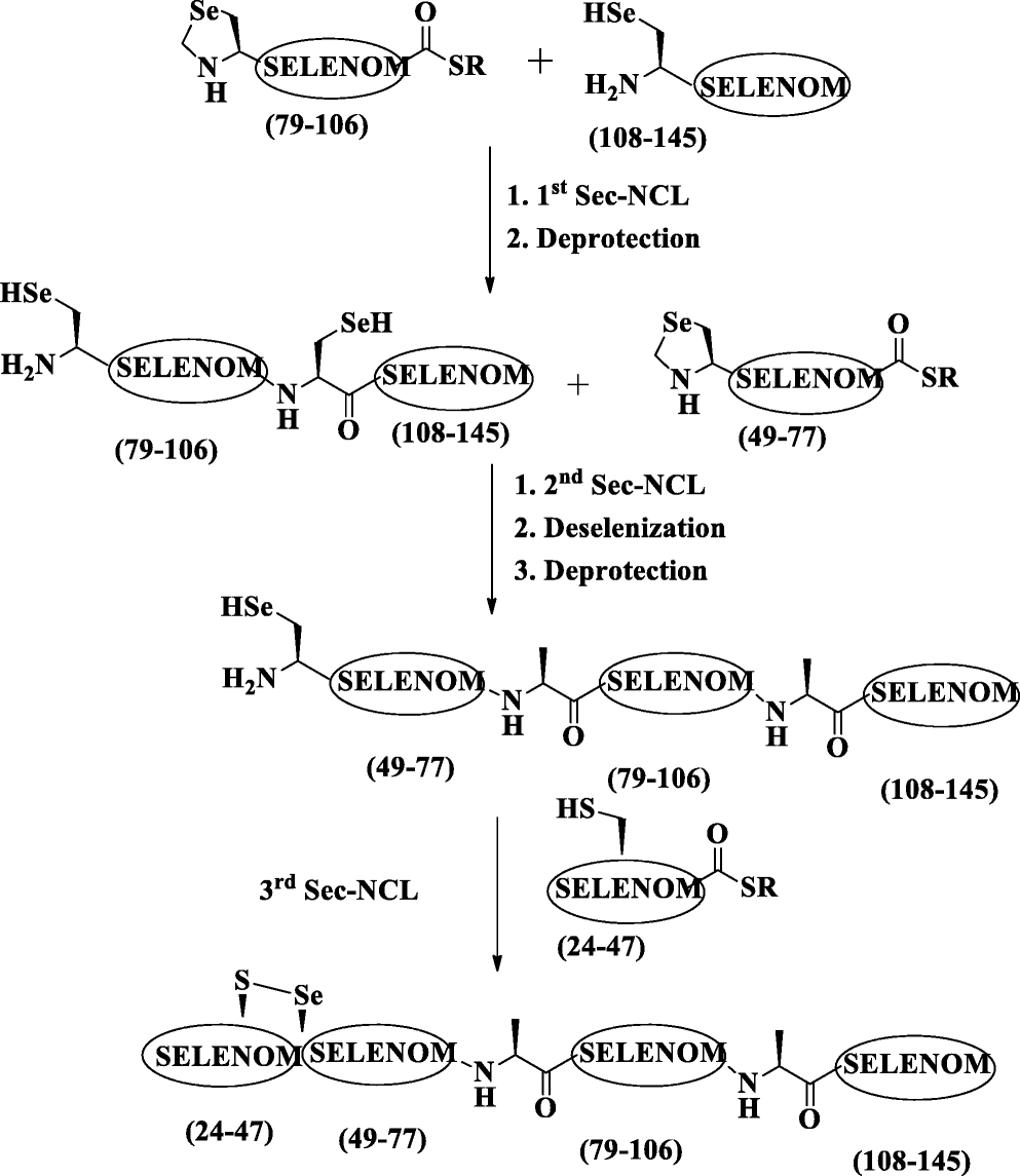 Scheme 17