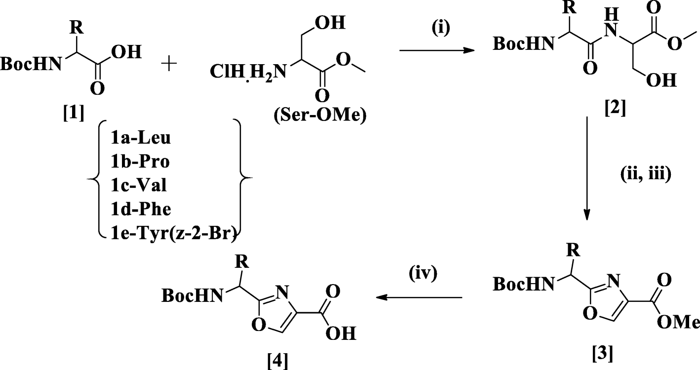 Scheme 5