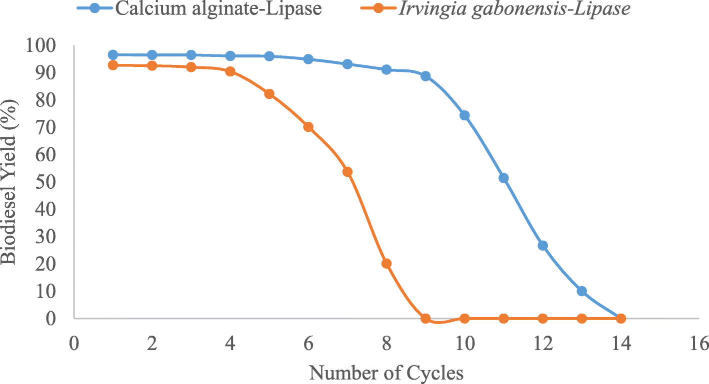 Fig. 5