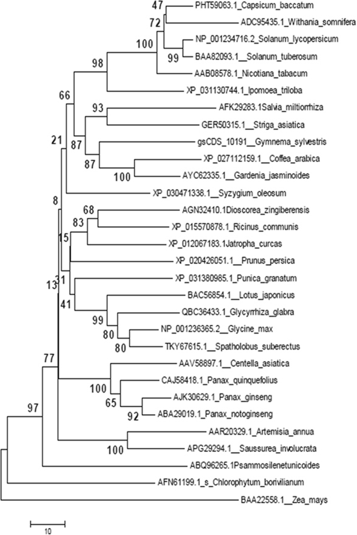 Fig. 4