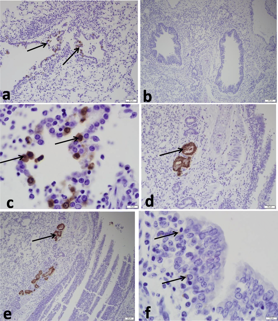 Fig. 5