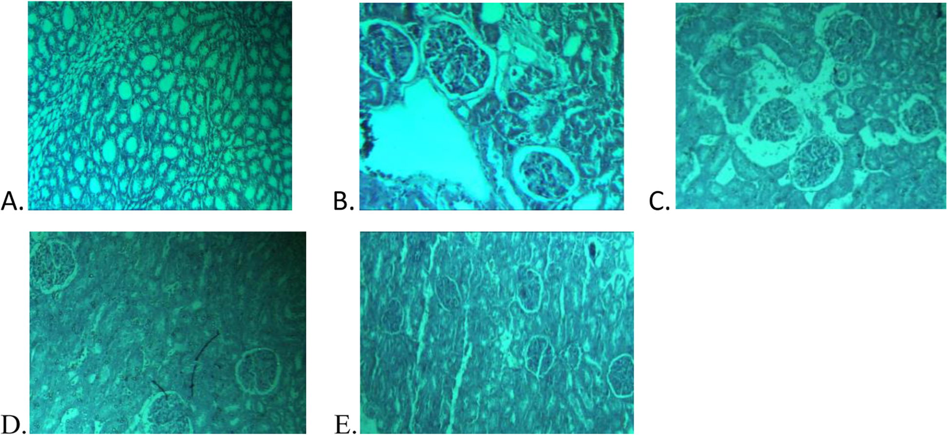 Fig. 9