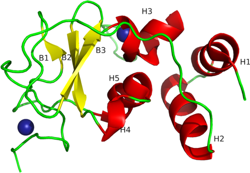 Fig. 1