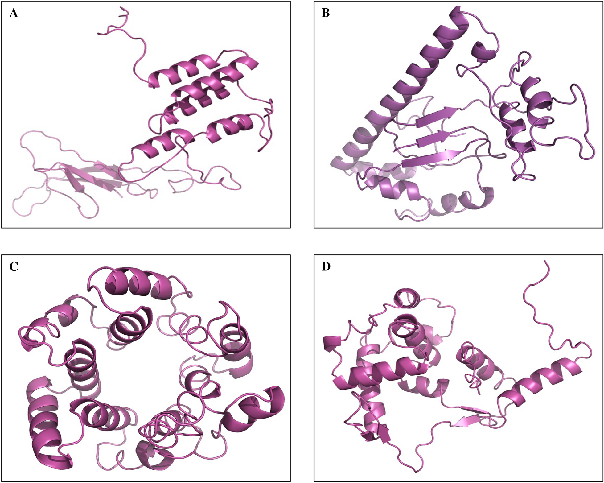 Fig. 6