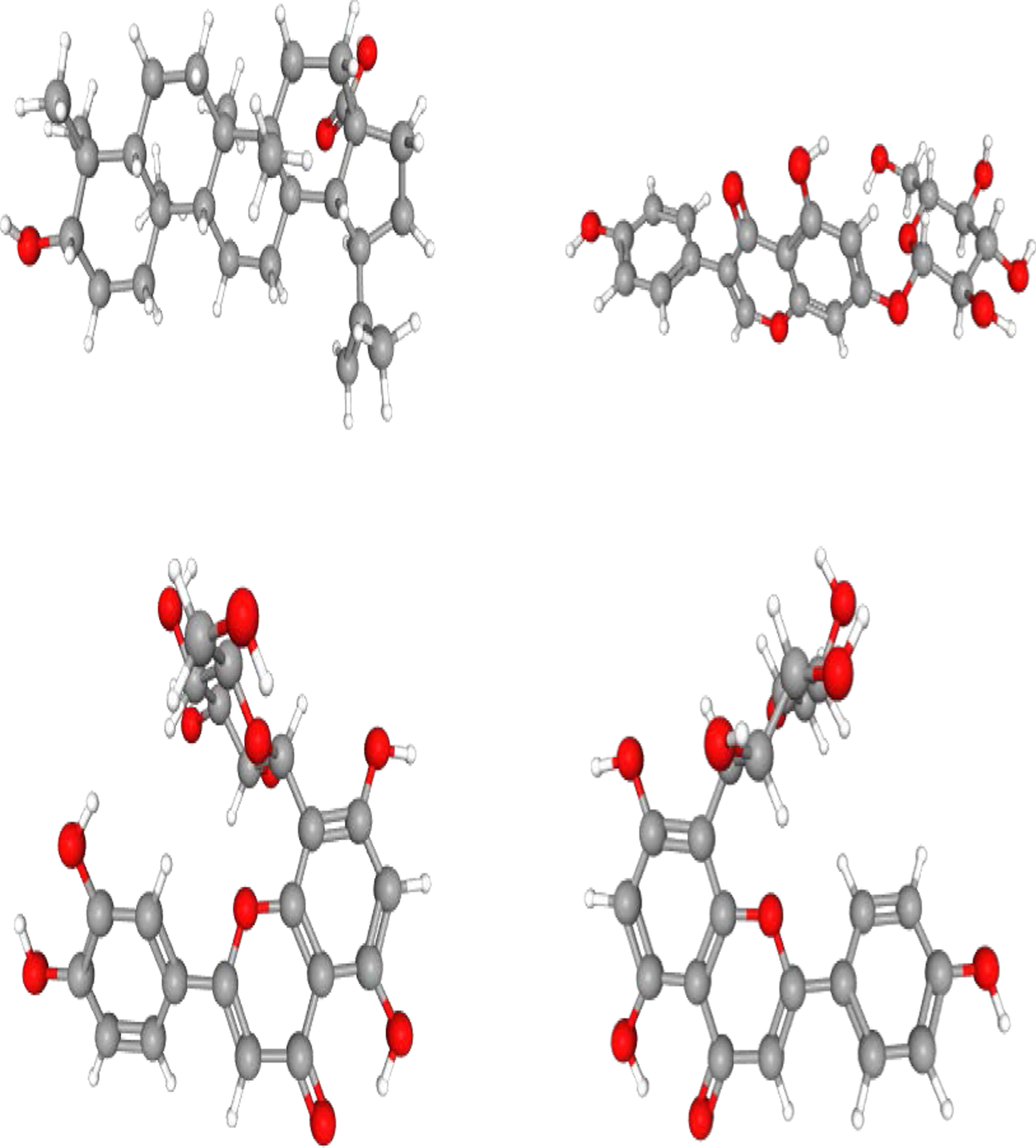 Fig. 14