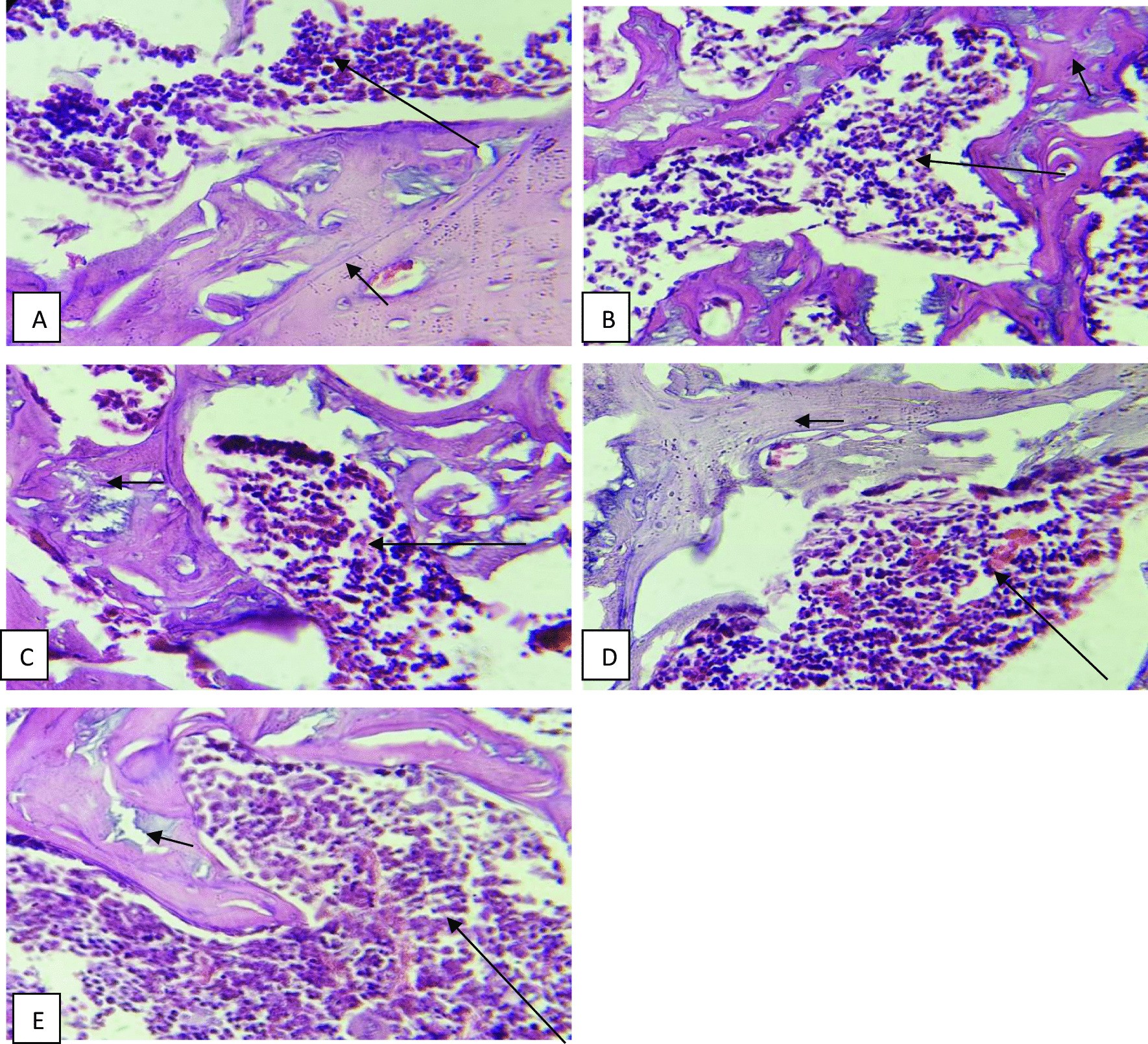 Fig. 19