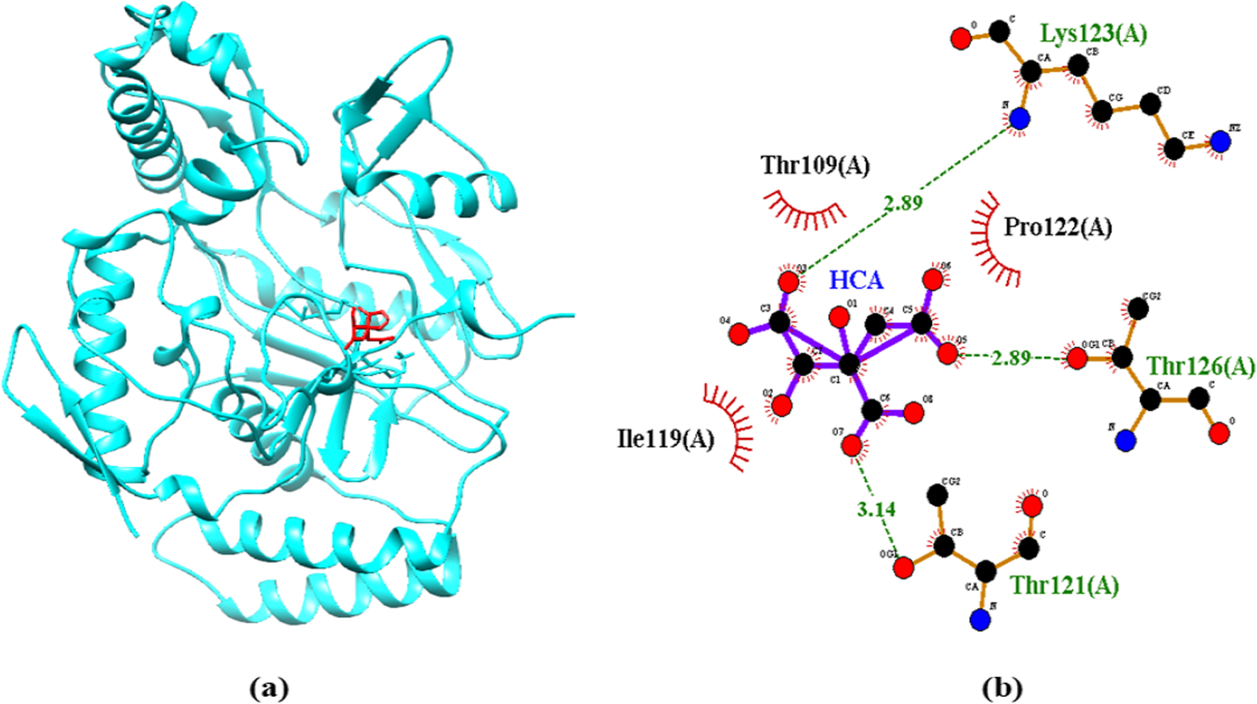 Fig. 11