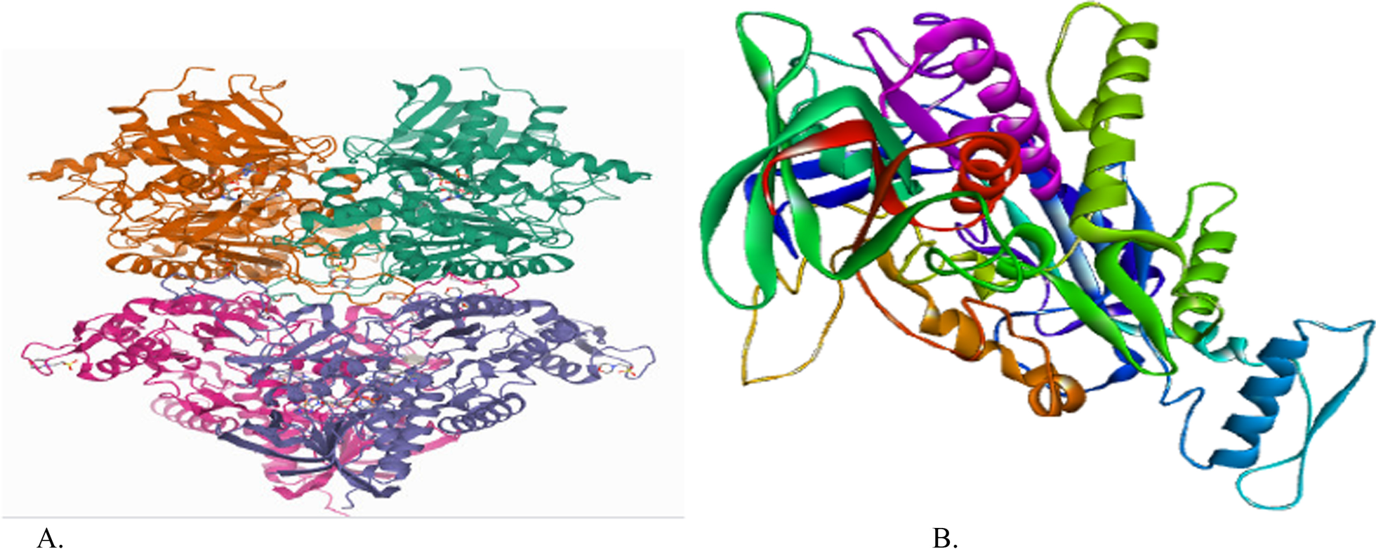 Fig. 1