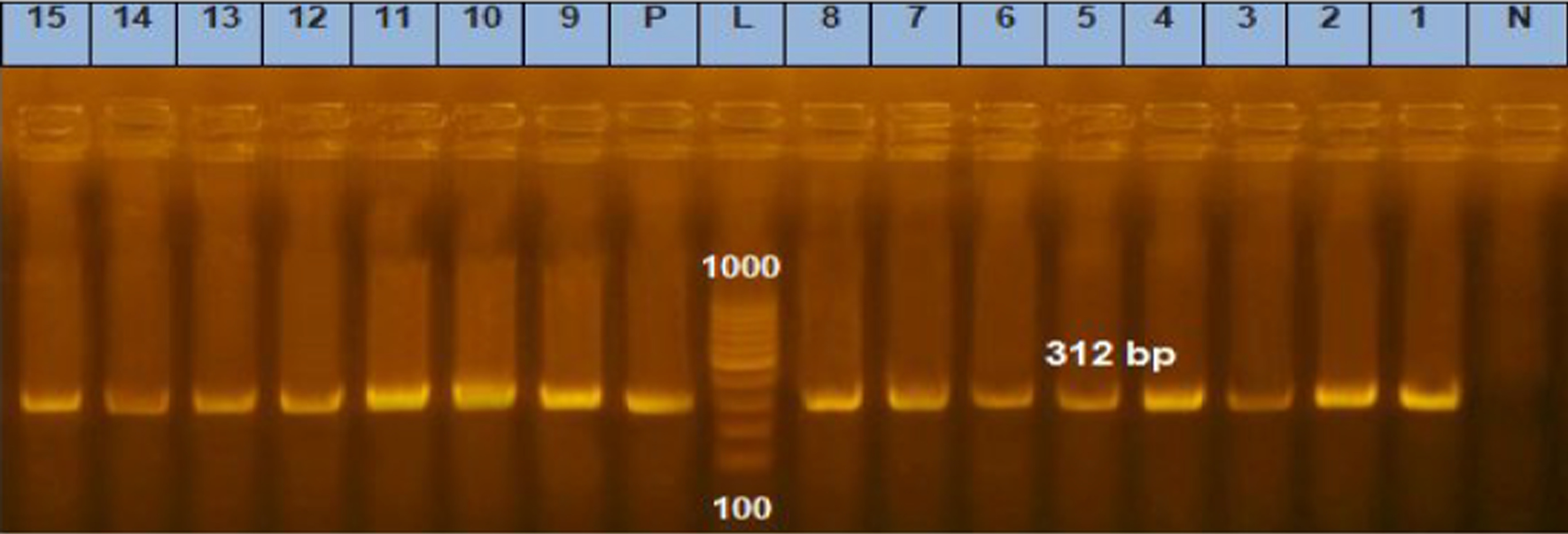 Fig. 13