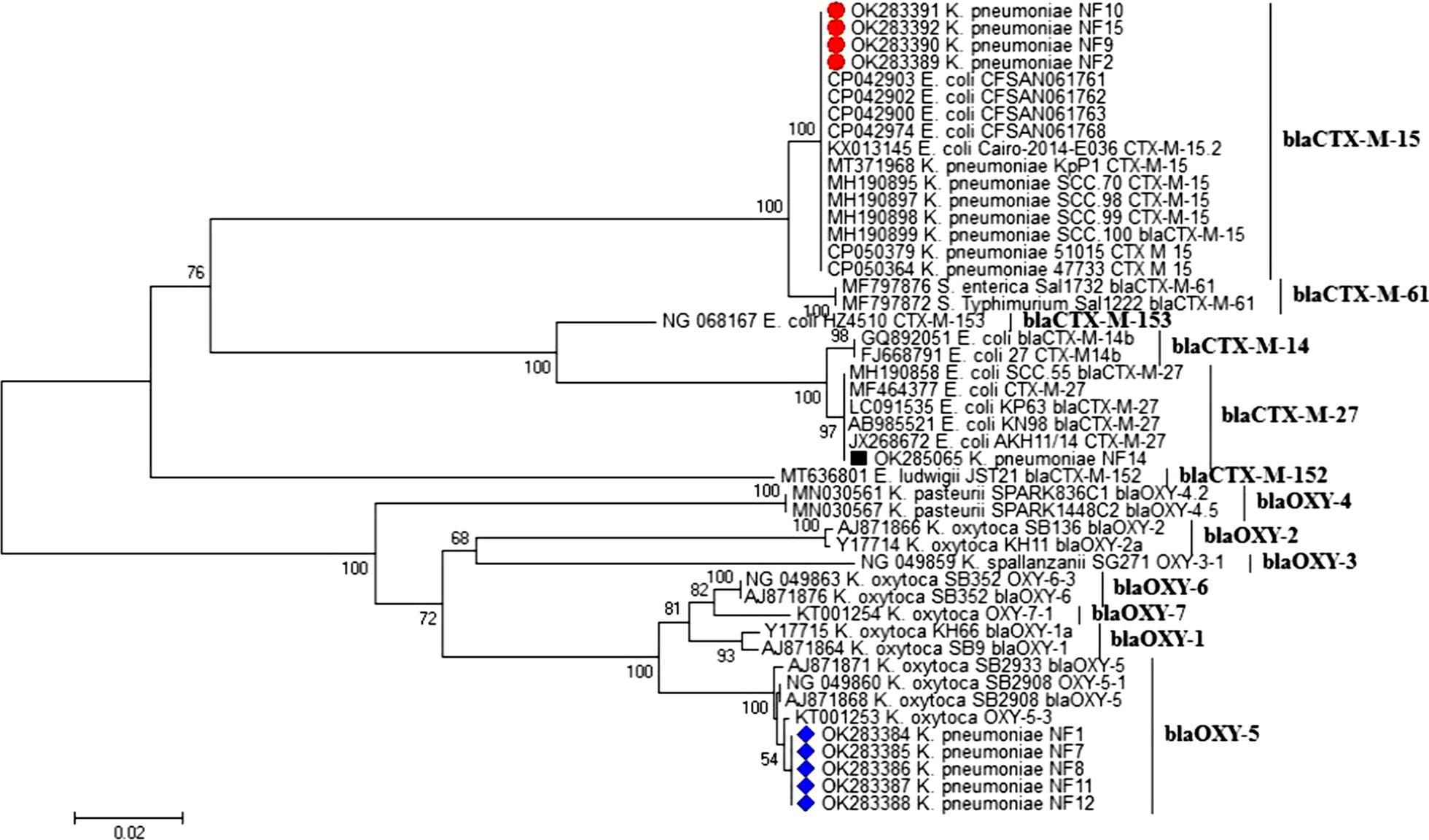 Fig. 4