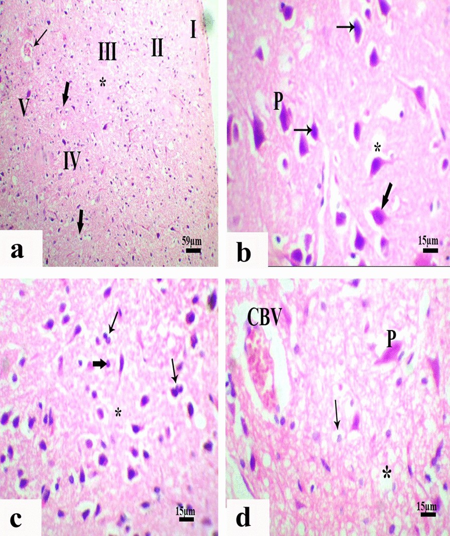 Fig.4