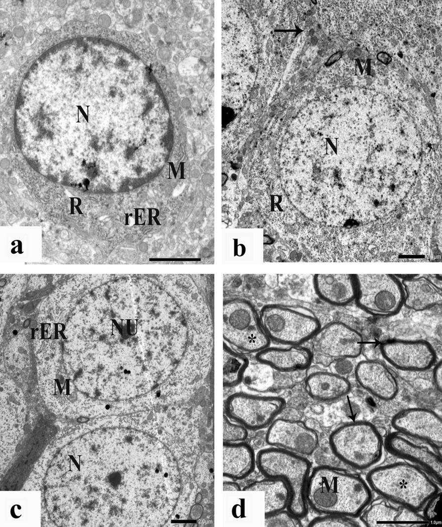 Fig.6