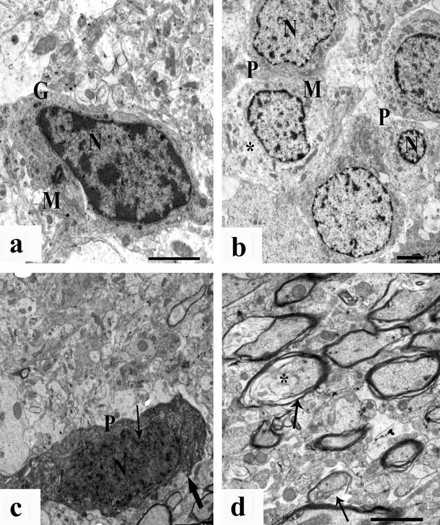 Fig.9