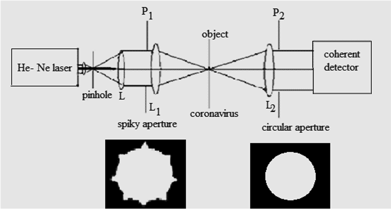 Fig. 1