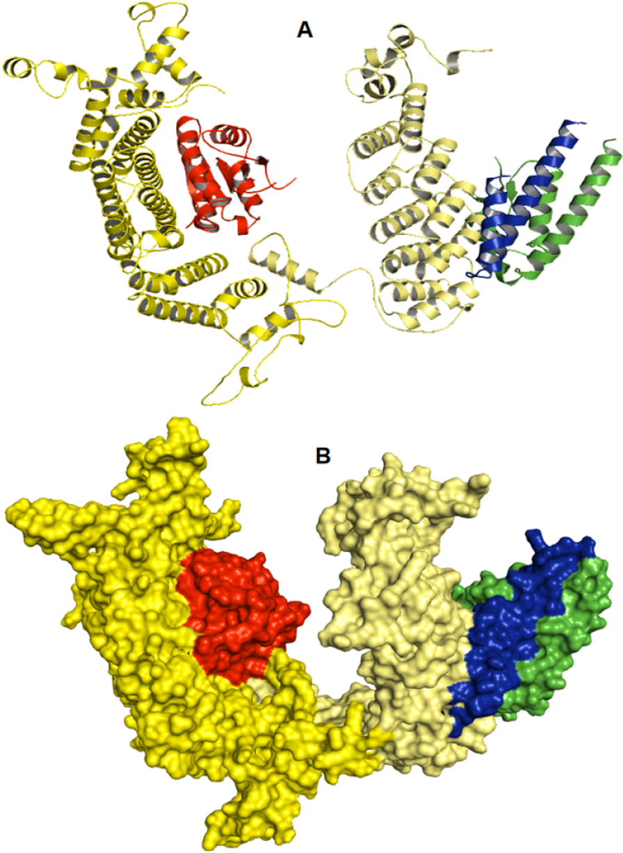 Fig. 4