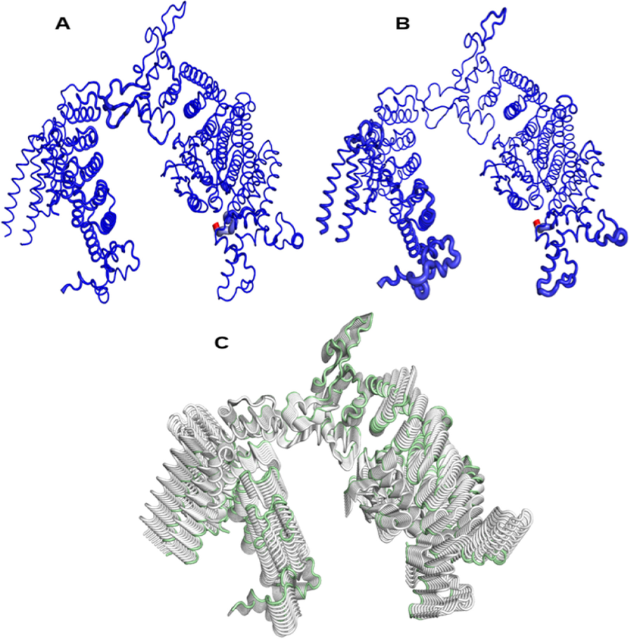 Fig. 8