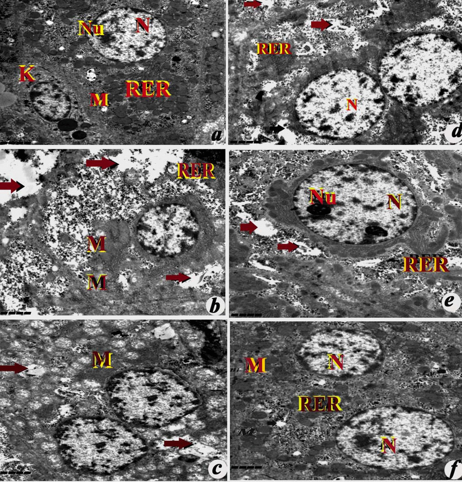 Fig. 7