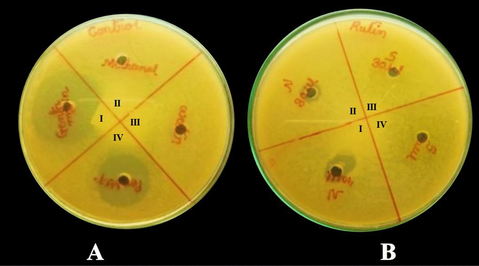 Fig. 14