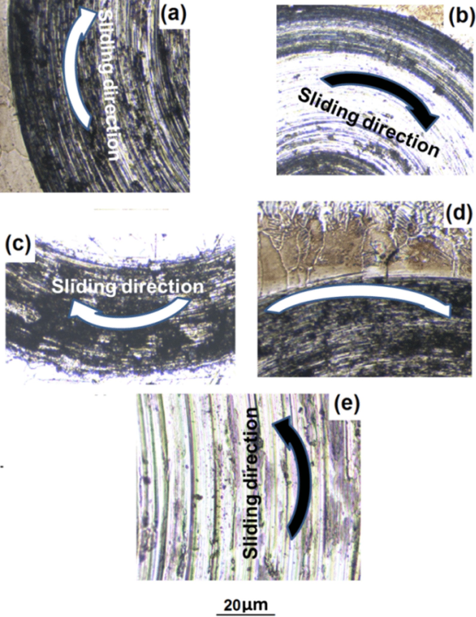 Fig. 8