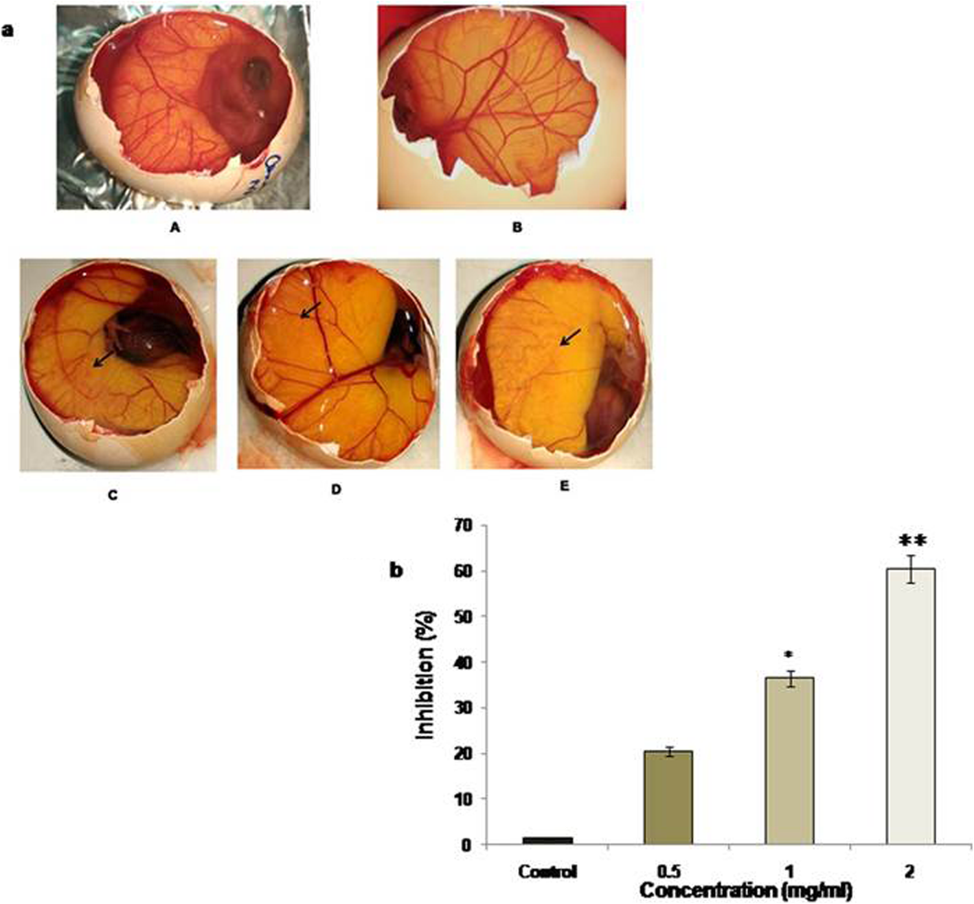 Fig. 10