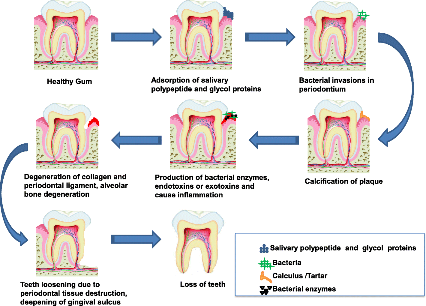 Fig. 2