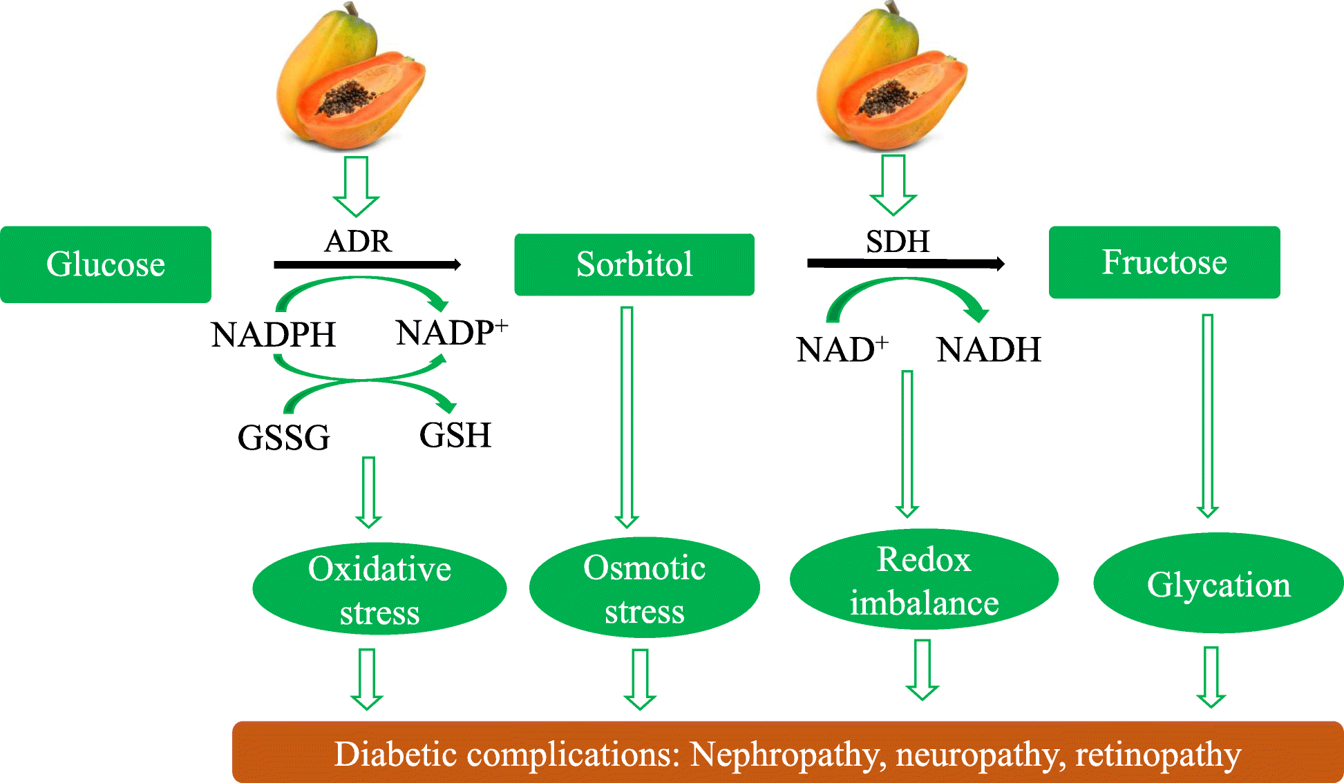 Fig. 3