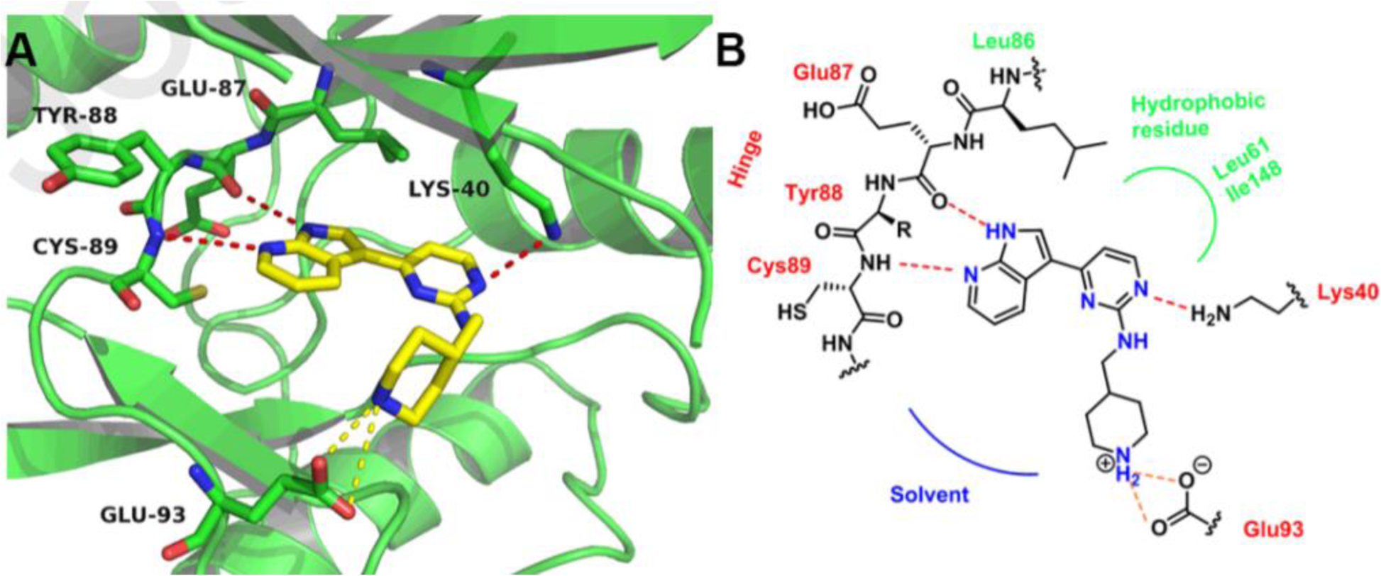 Fig. 11