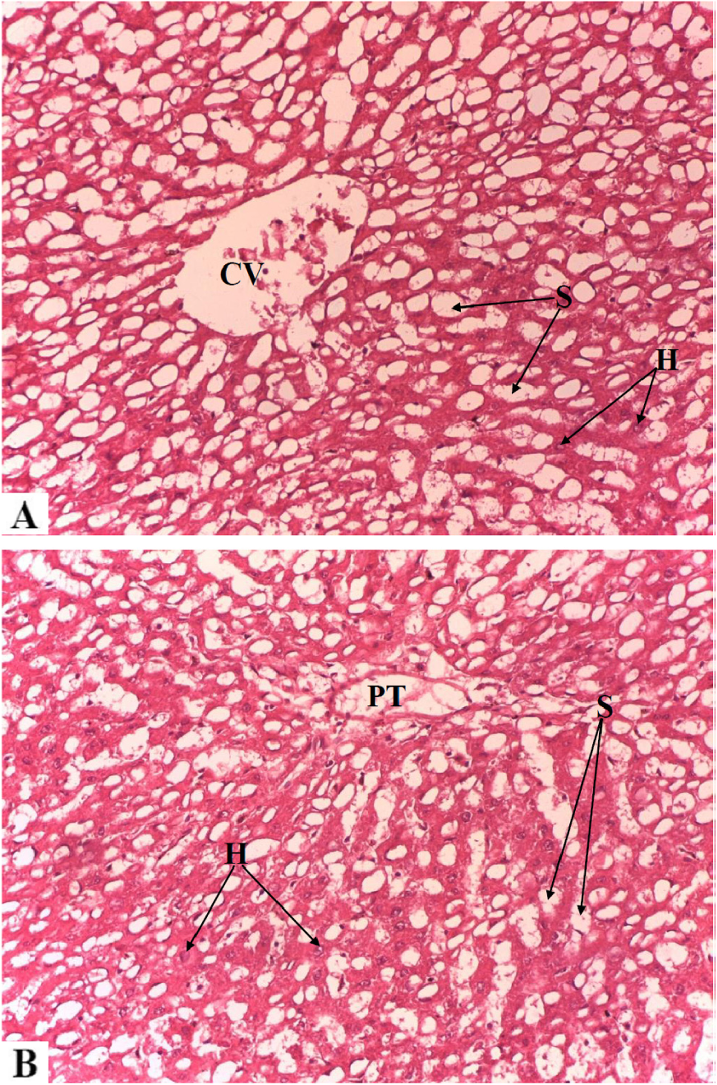 Fig. 5