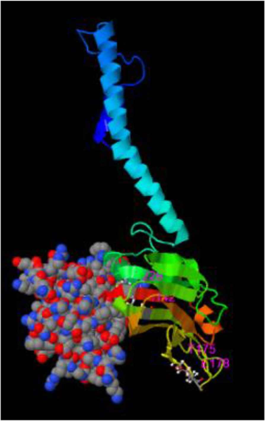 Fig. 9